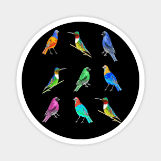 BIRDS Magnet